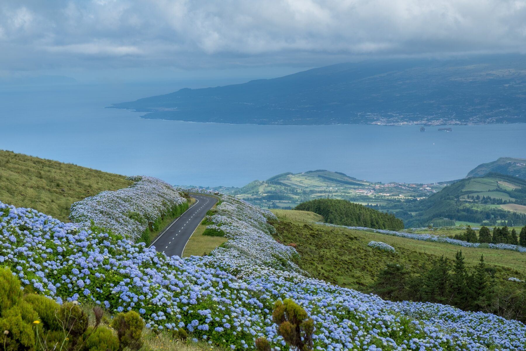 road to the sea