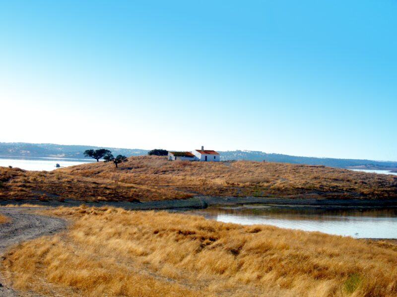 fields & sea background image
