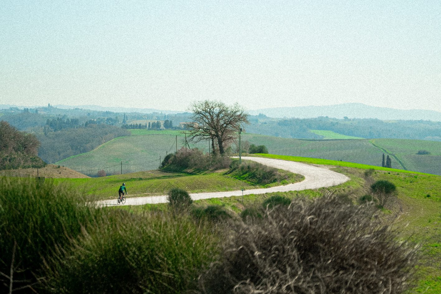 Image from PhotoShelter (1)