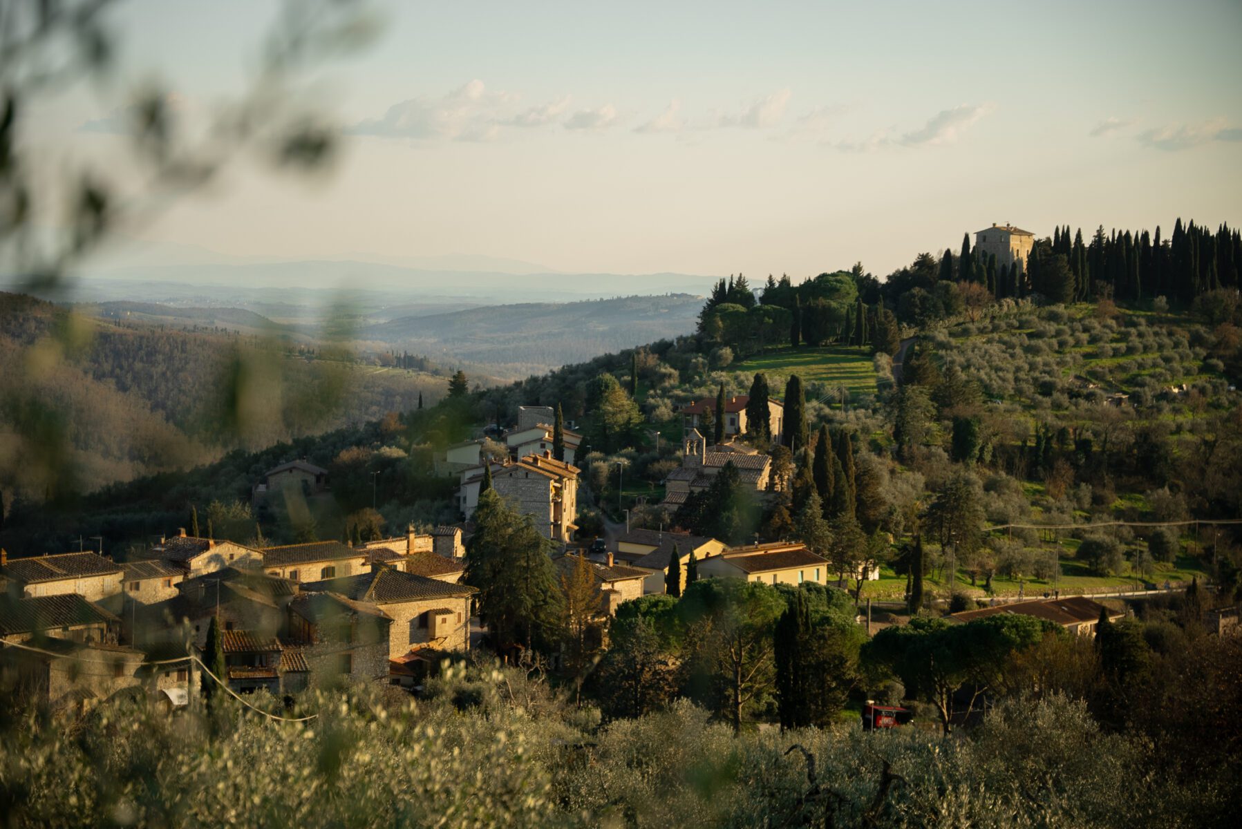 Image from PhotoShelter (3)