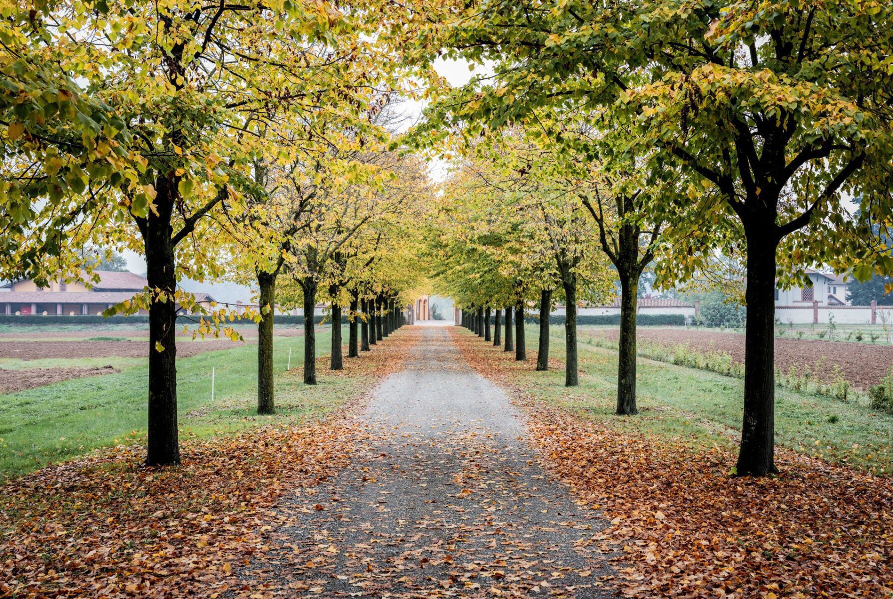 Milan San Remo Day 01 Recon01_inGamba_10_2025_startt