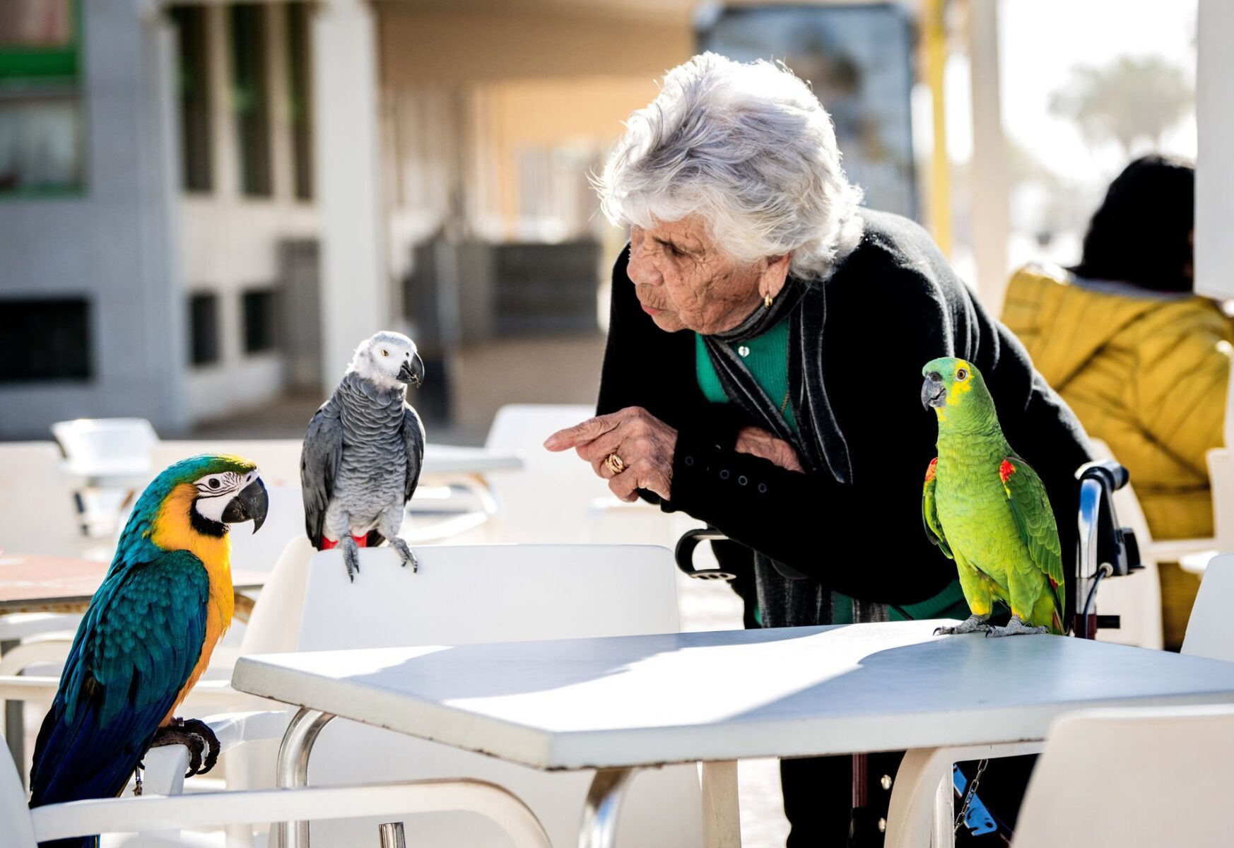 stg02_Ambiance_Quinteiro _Birds_Tour of Algarve_02_2025_startt