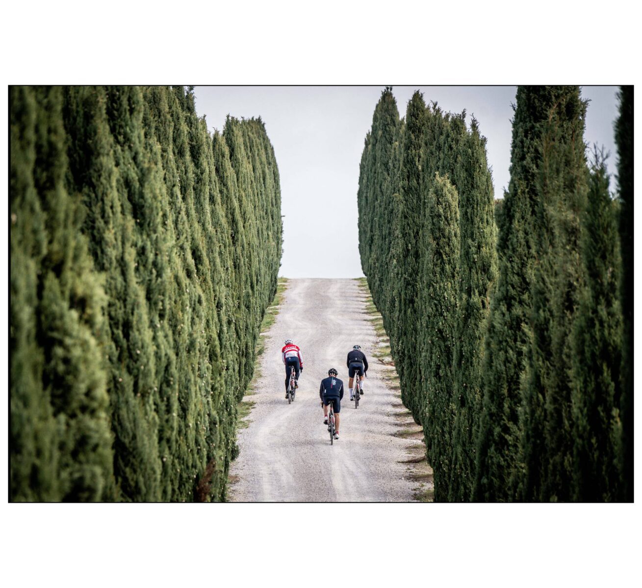 Partners Trip with border_inGamba_11_2025