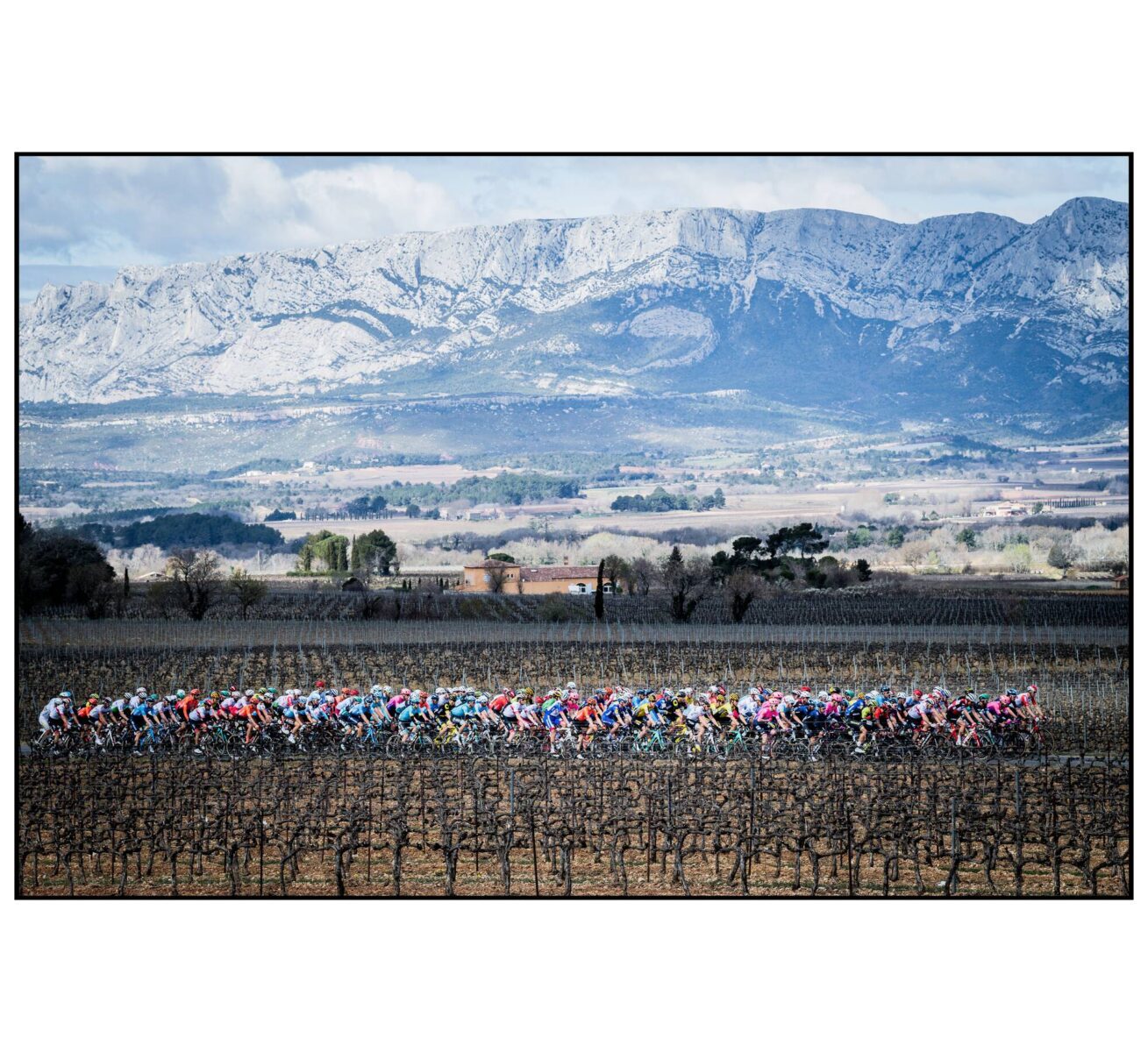 Peloton Paris Nice with border_inGamba_10_2025