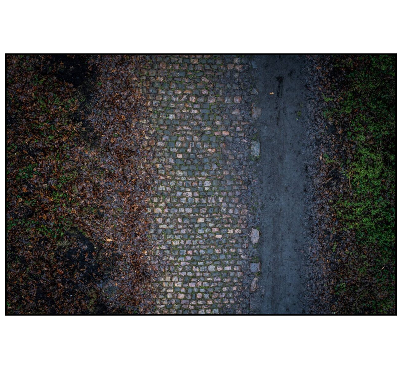 wallers arenberg with border_roubaix hibernation_2020 (1 of 1)