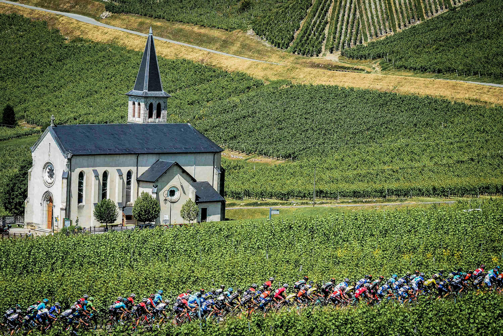 PELOTON