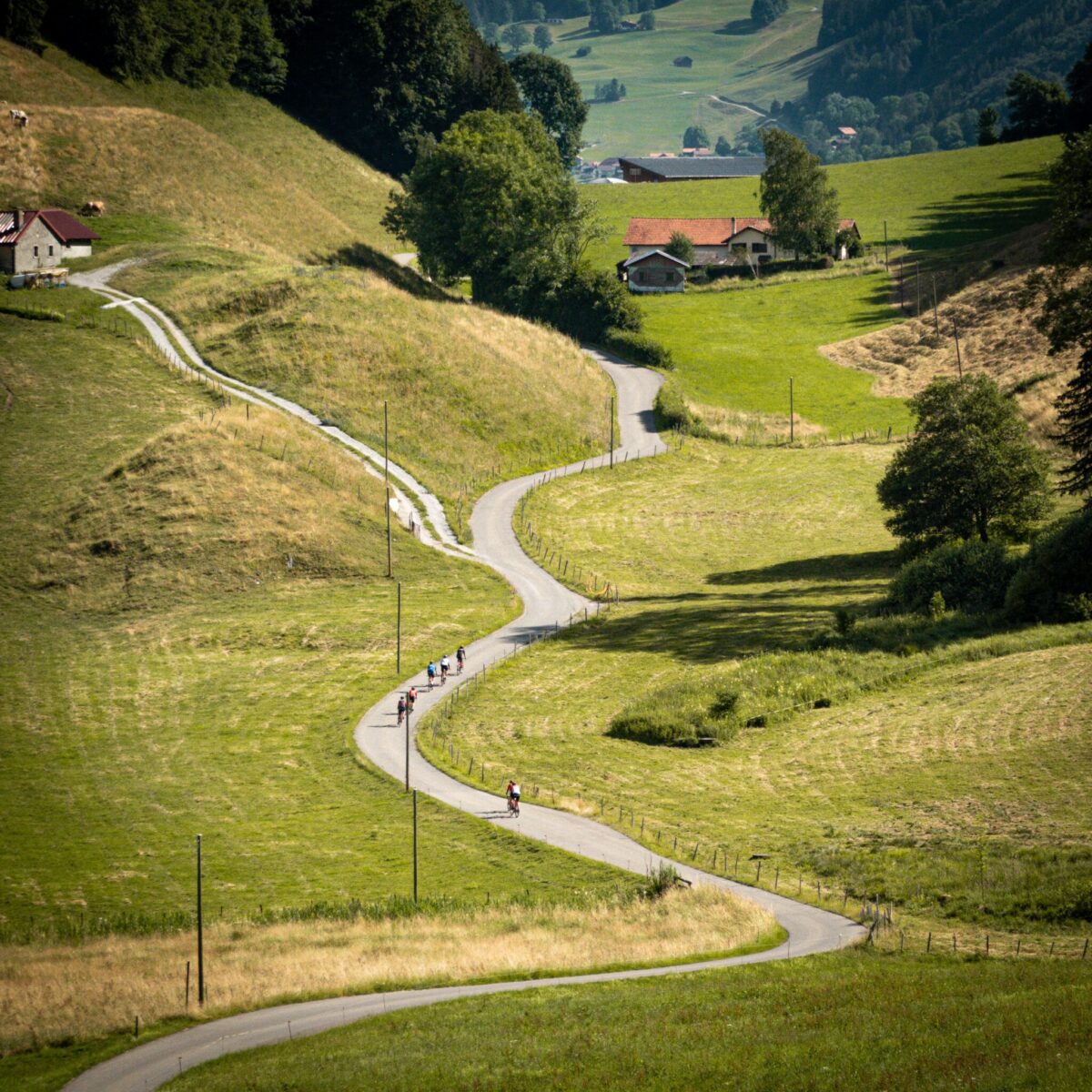 23070207-Gstaad-Ingamba-2-066-2048x2048