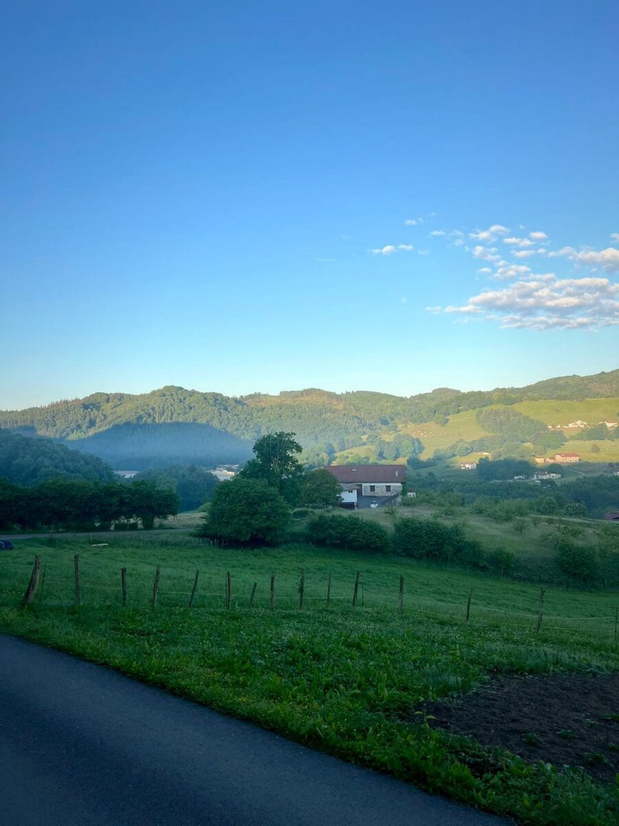 WhatsApp_Image_2026-05-23_at_16_19_02-edited