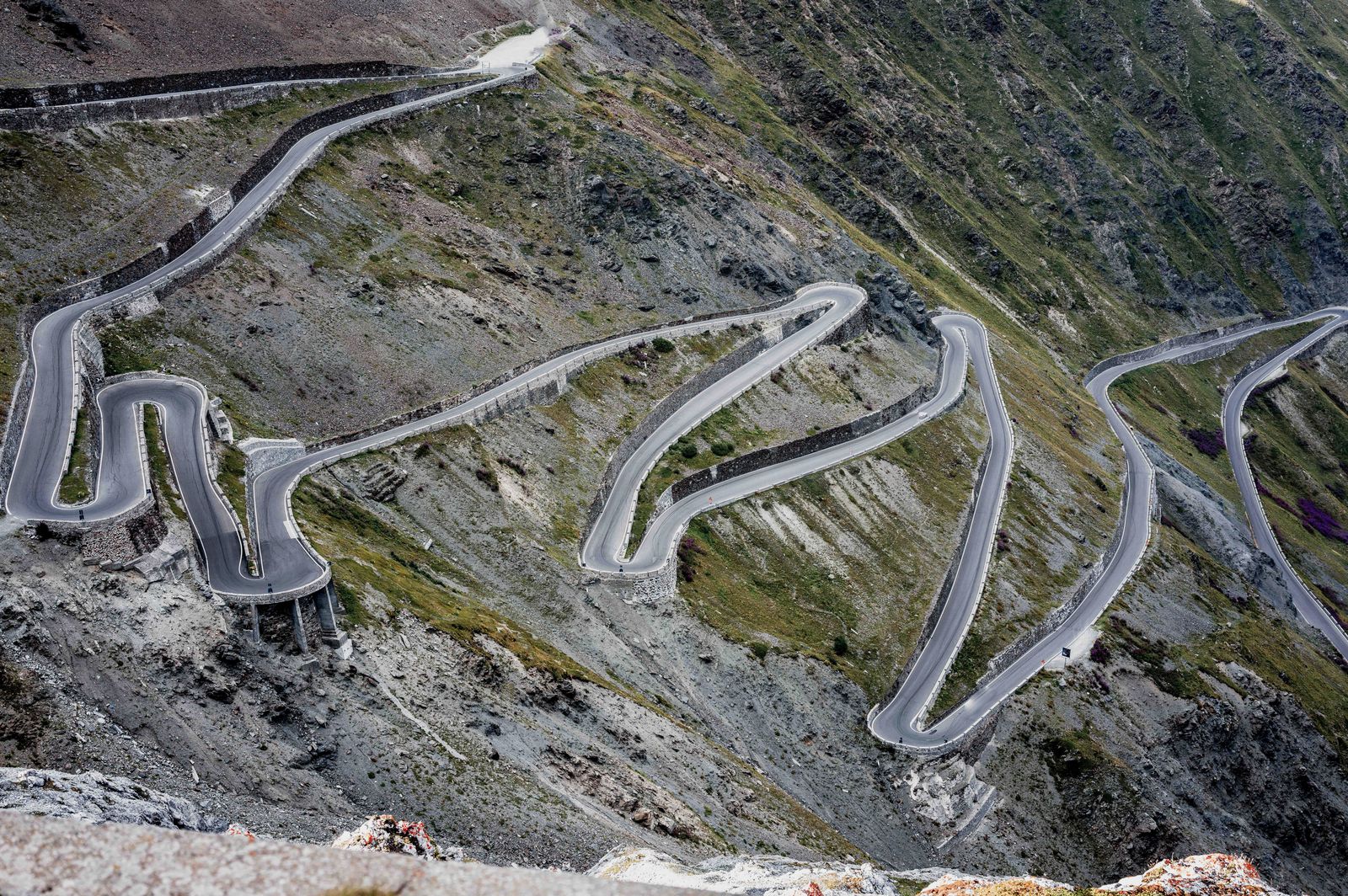 Stelvio Landscape30_inGamba_08_2926-startt