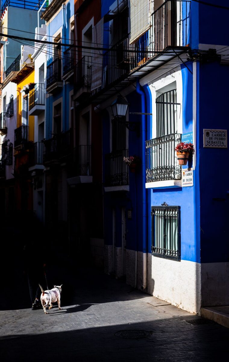 Alicante street04_01_2023-startt-alicante-bike-tour